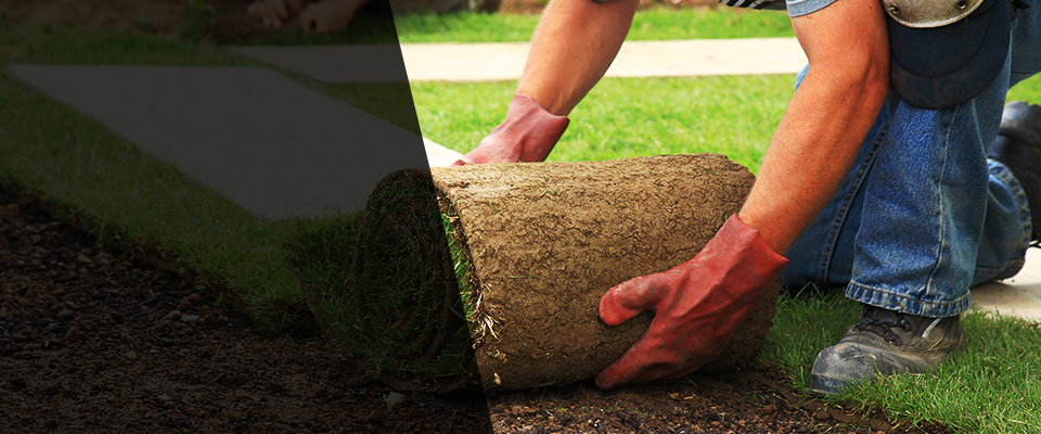 Heidelberg Landscapers